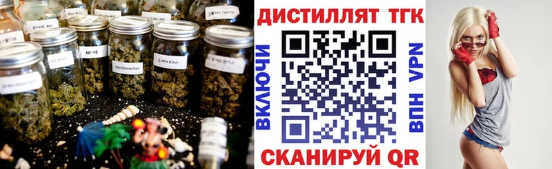 Купить закладки  Нестеровская  Дистиллят ТГК концентрат 